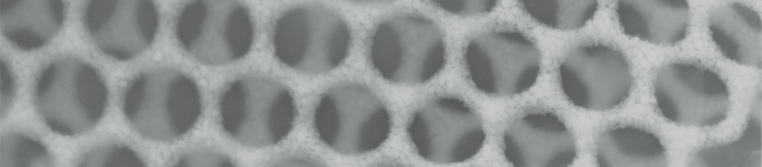 SEM image of surface grid of Au nanoparticles