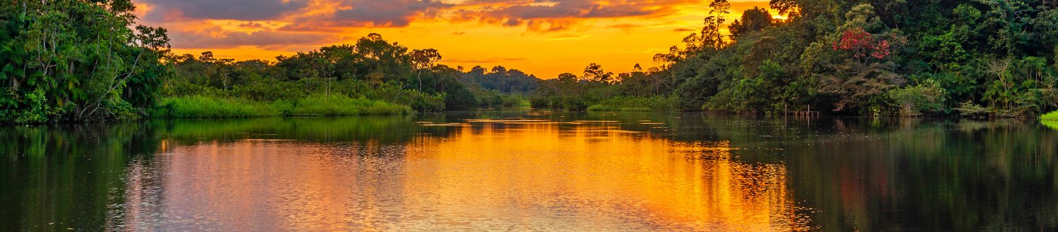 Sunset in the Amazon Rainforest.