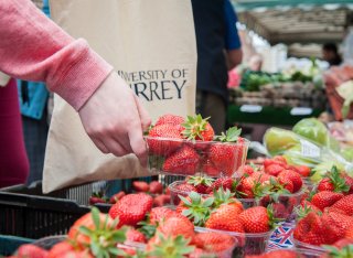 Strawberries being sold at a market at the University of Surrey