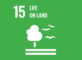 UN Sustainability Goal 15 logo, life on land.