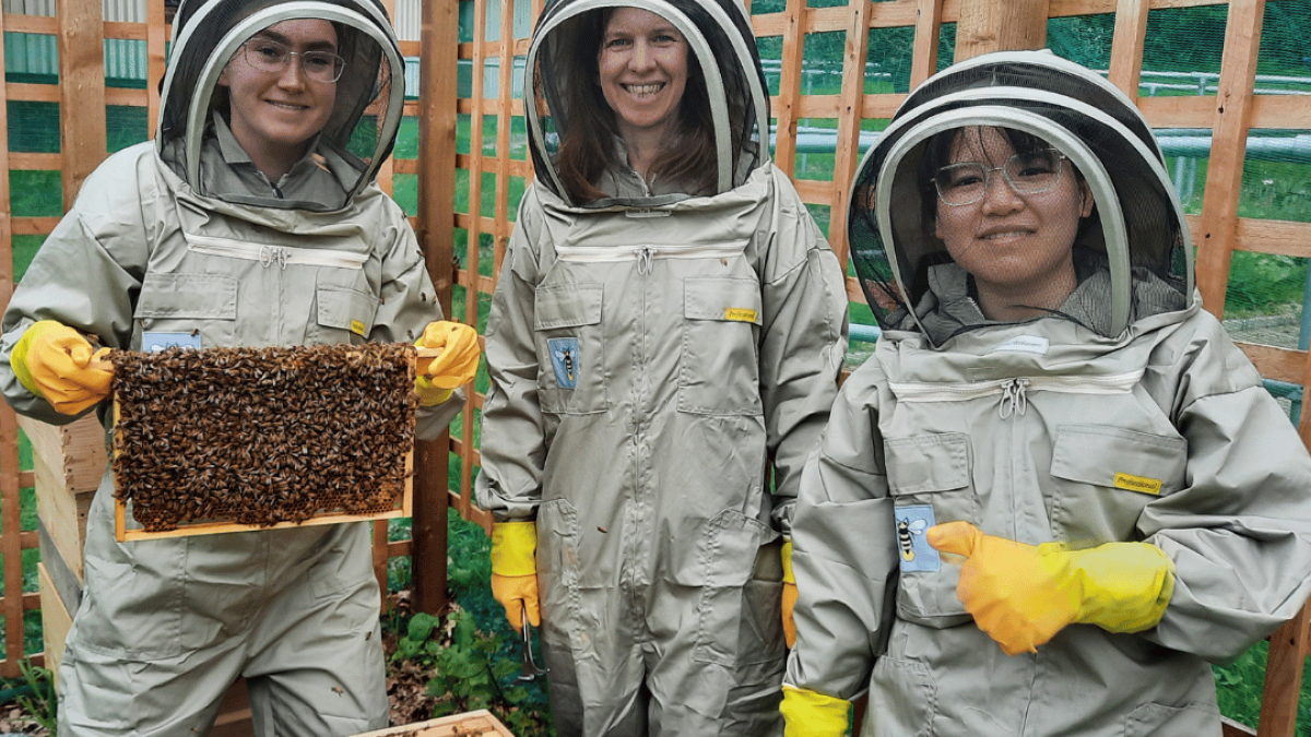 Three people in beekeeper suits. They are standing by a beehive. One is holding a panel covered in bees. 