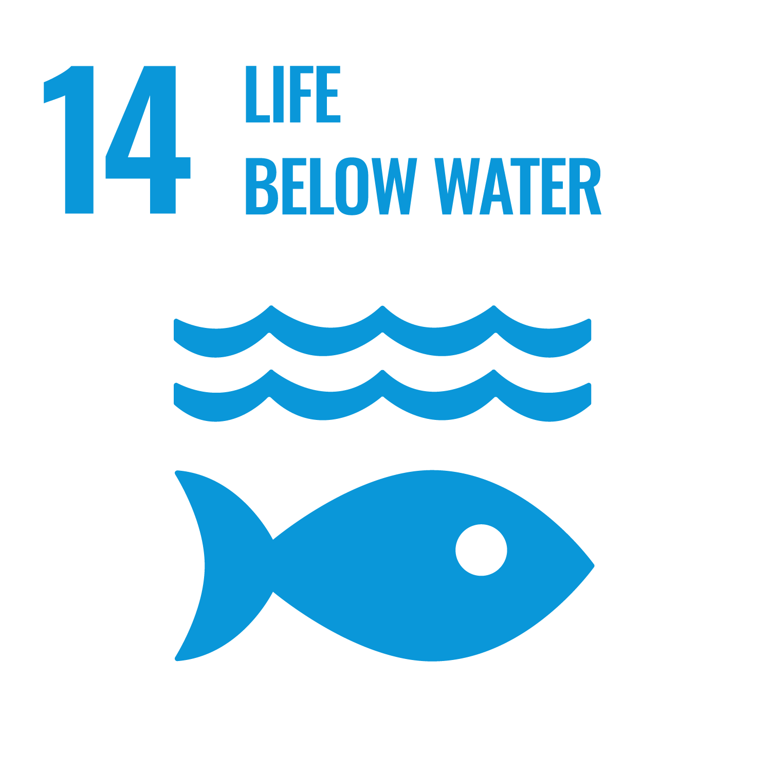 Image for Life Below Water Sustainable Development Goal