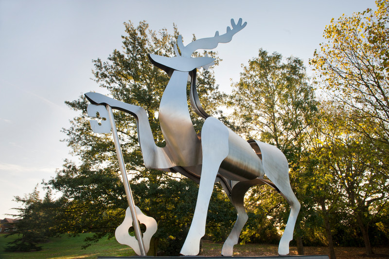 Stag campus view Autumn-5(1).jpg