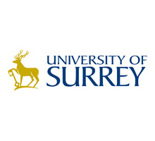 top banner