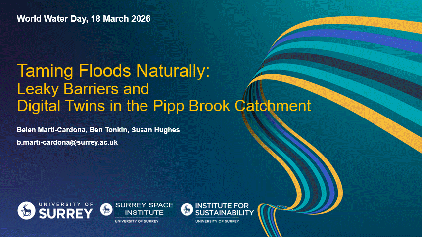 Natural Flood Management in the Pipp Brook catchment
