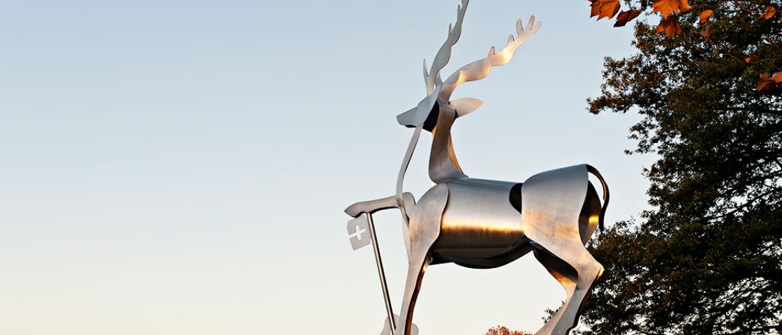 Stag statue on Stag Hill campus