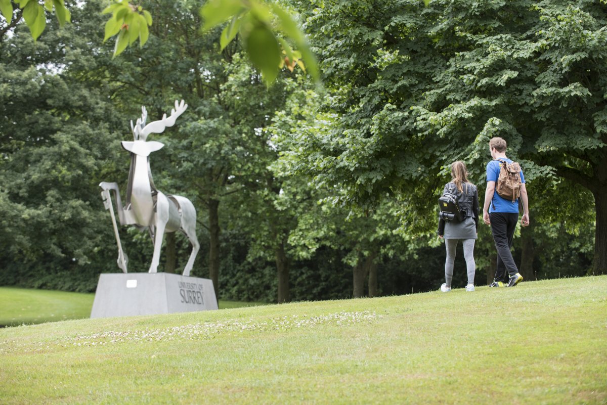 The University of Surrey campus