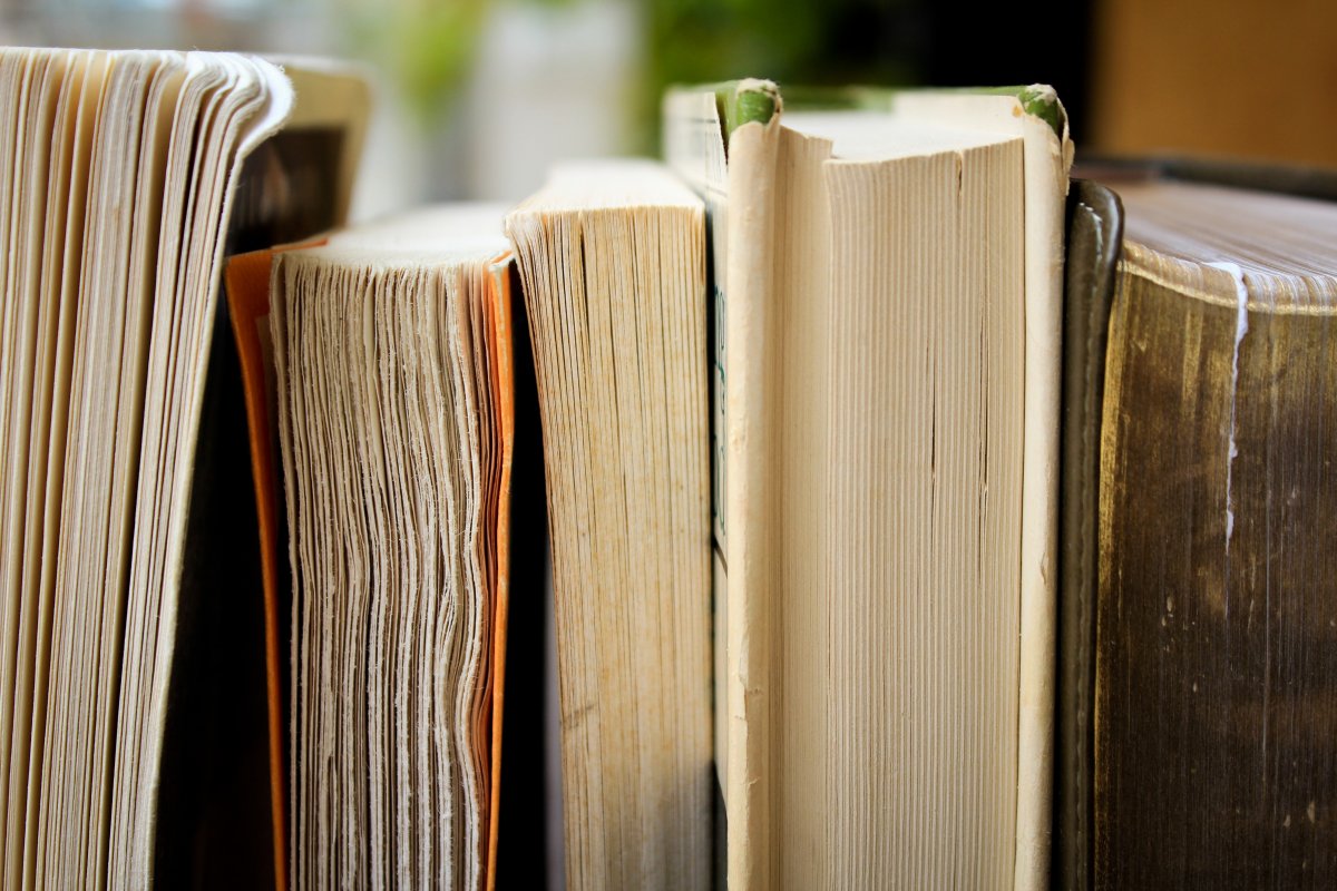 Books stacked up against each other vertically
