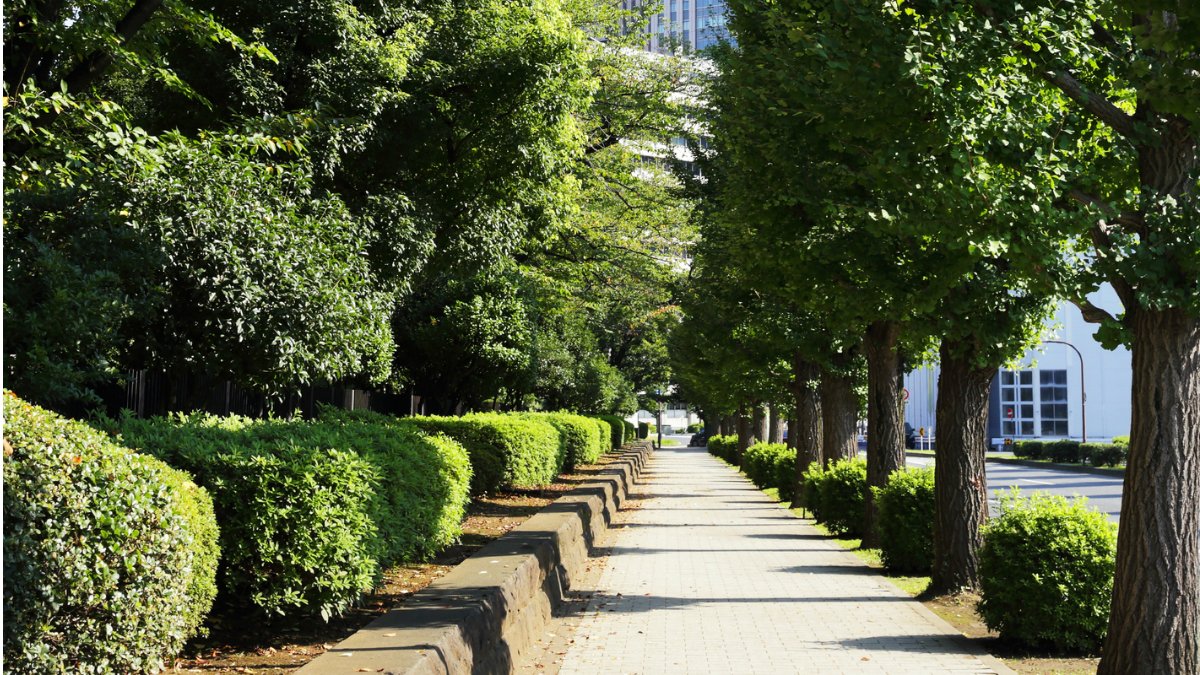 Green_infrastructure