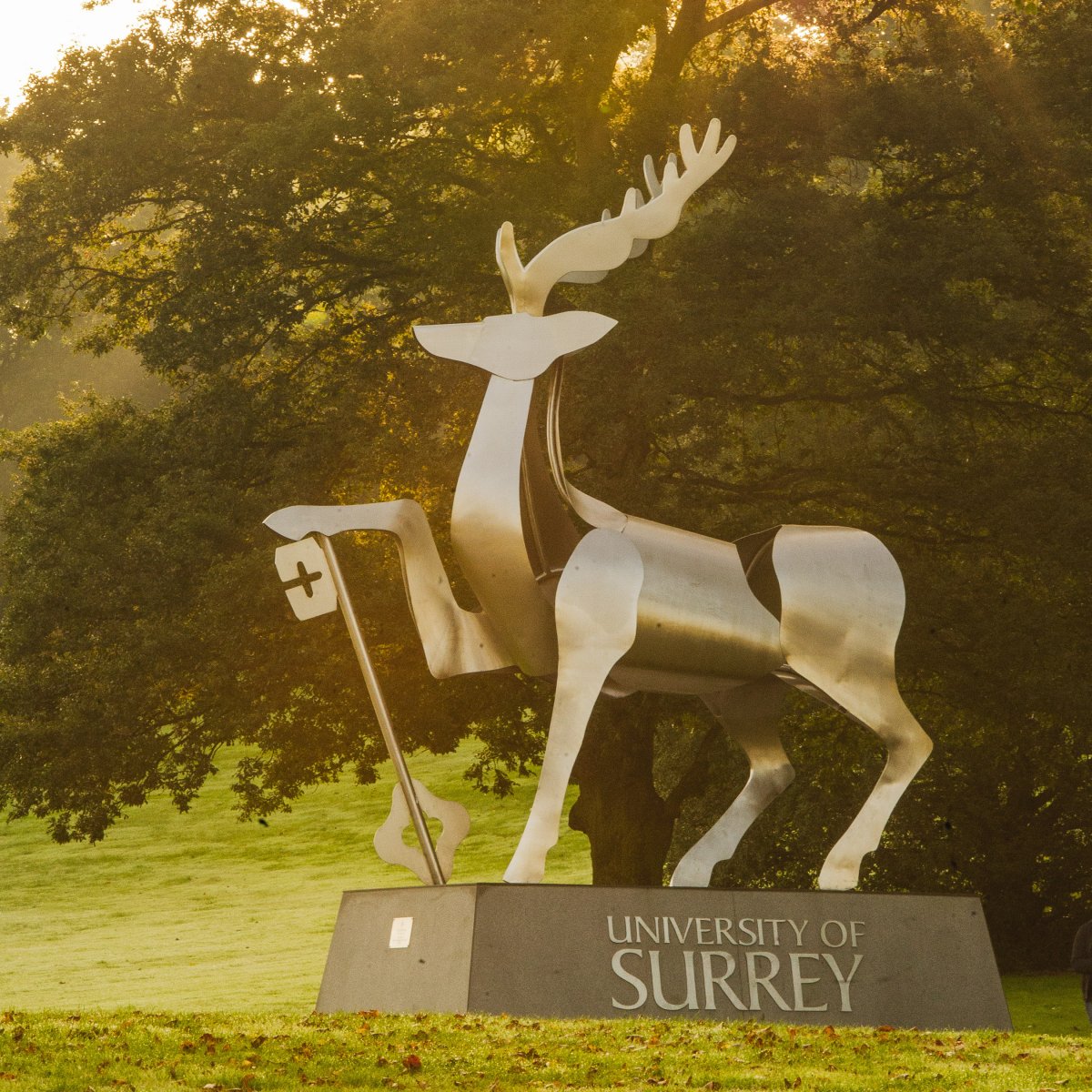 Stag