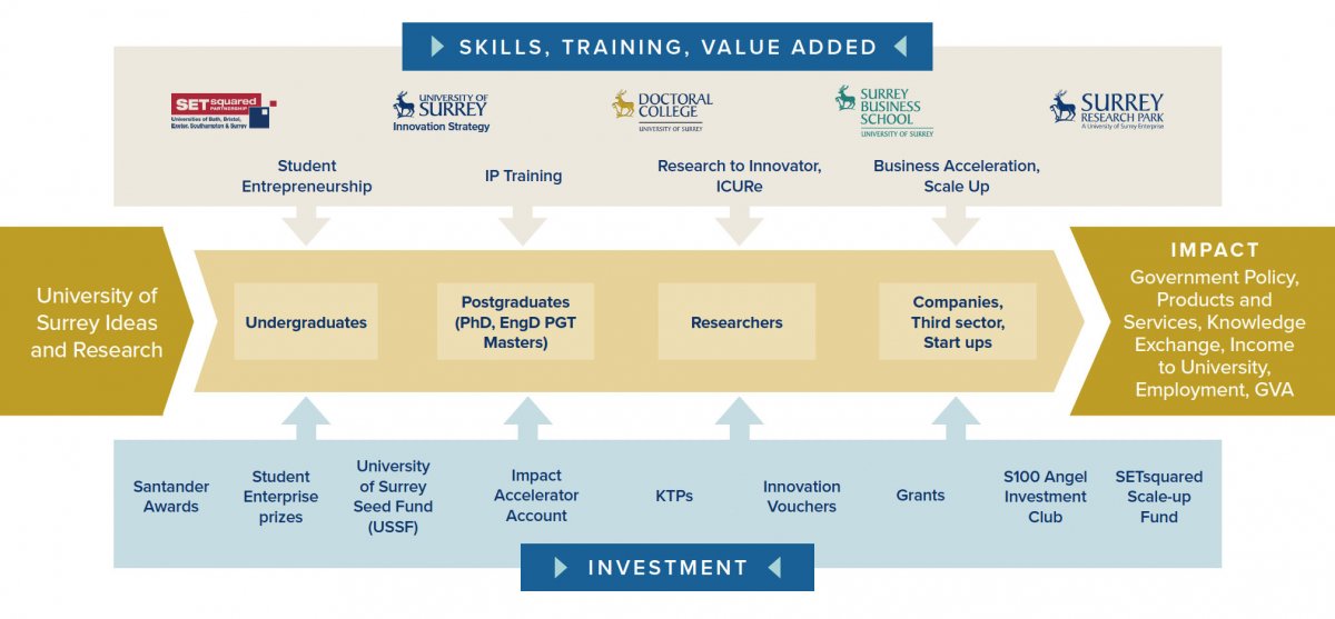 Innovation Ecosystem
