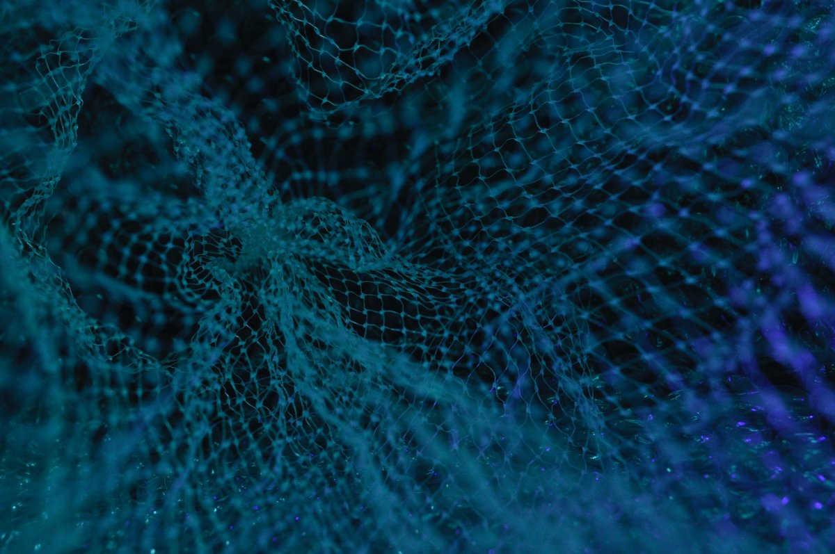 neural_network