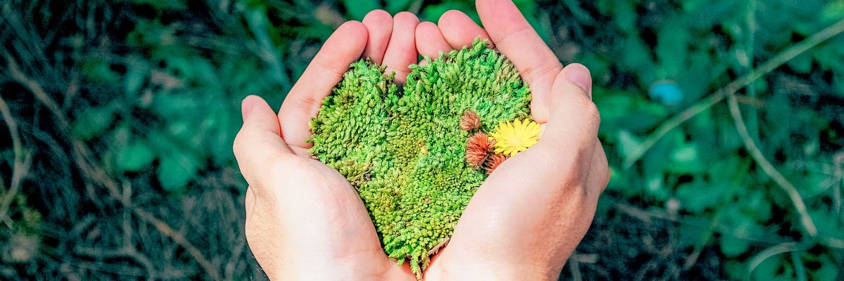 hands holding green moss