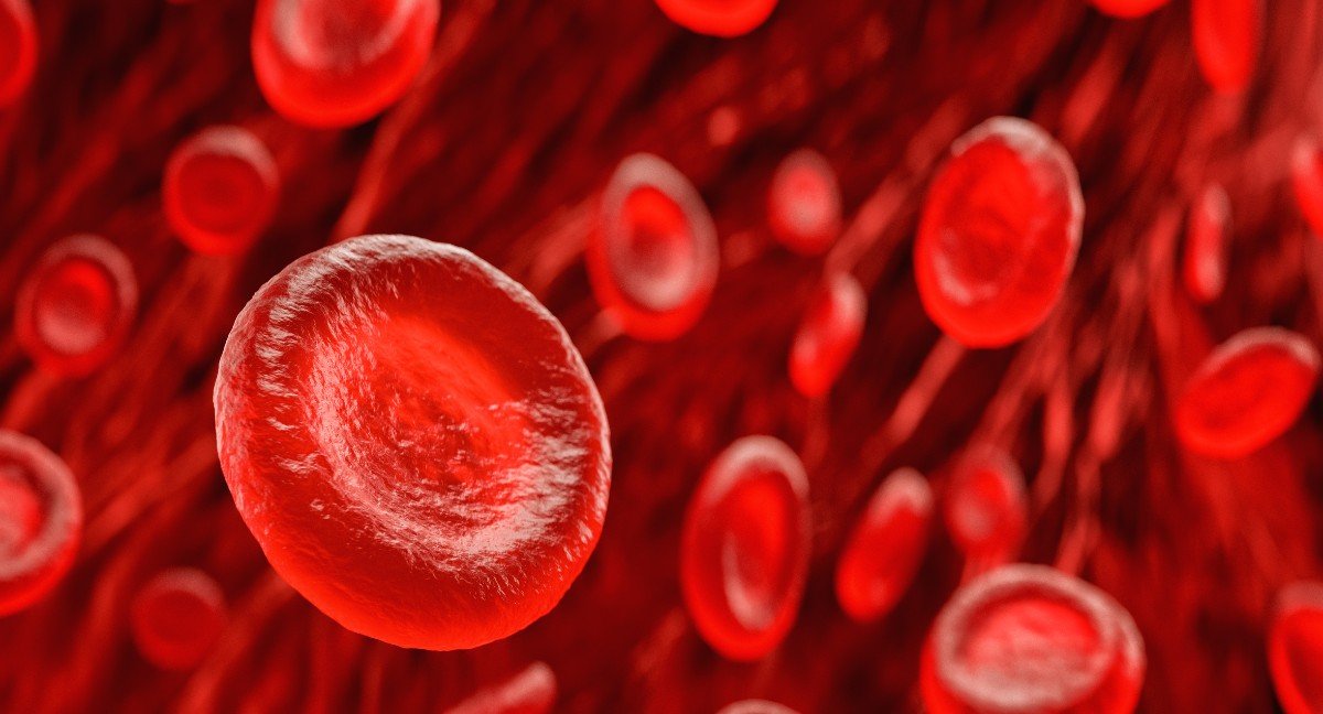 red_blood_cells