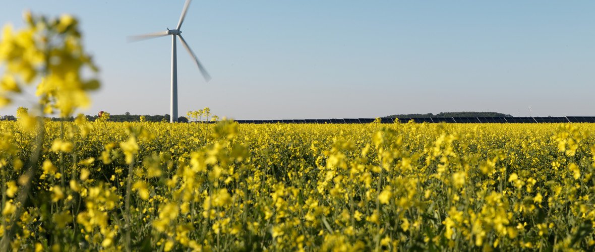 Wind turbine over a field