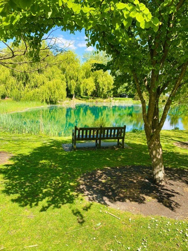 Bench by lake on University of Surrey's campus