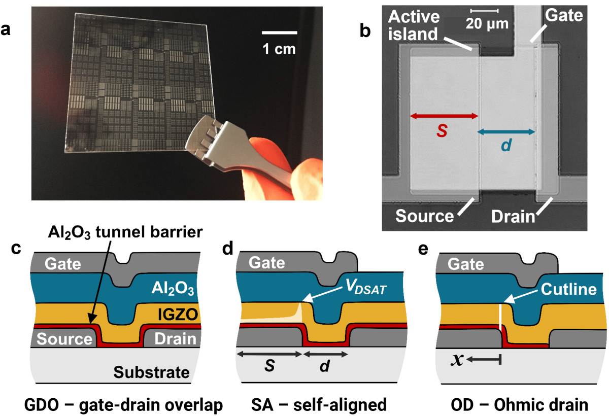 diagram of source-gated transistor