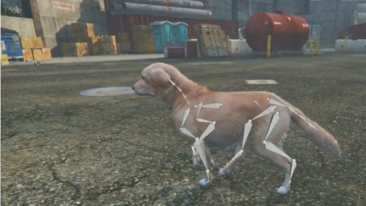 3d model of a dog produced in Grand Theft Auto