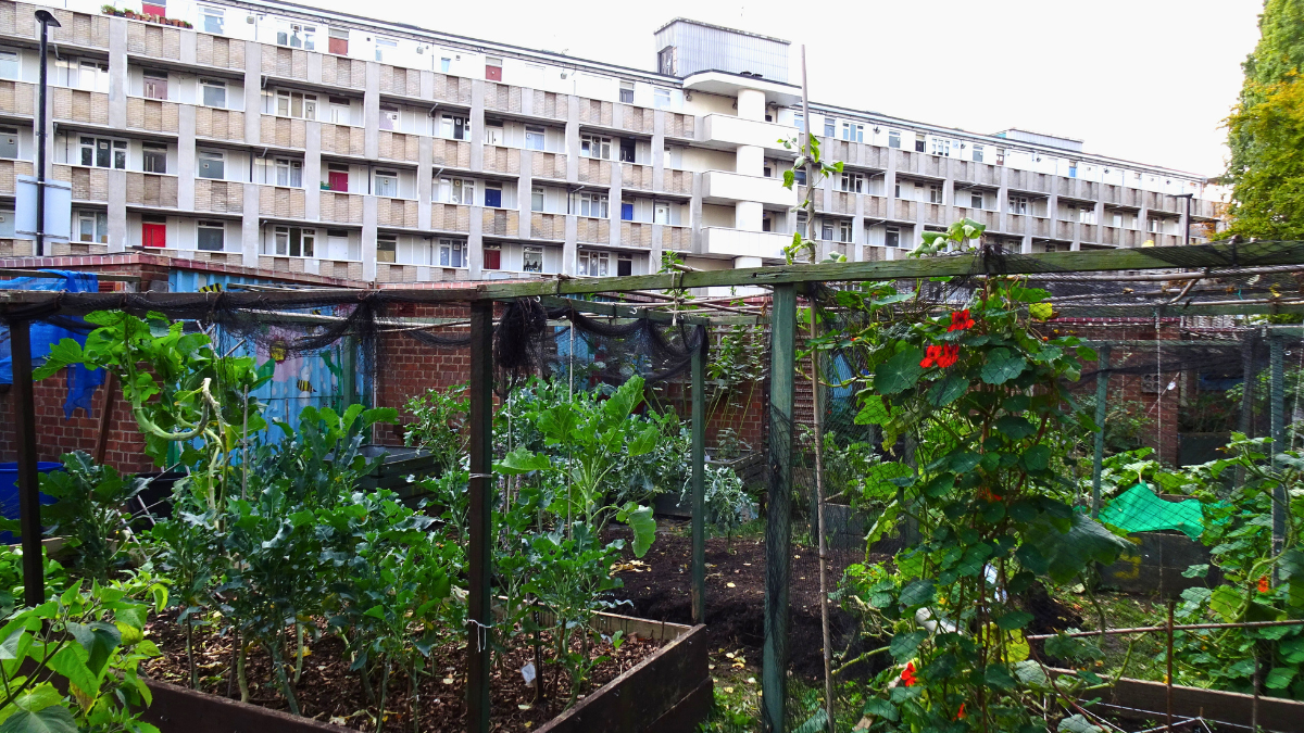 Cranbrook community garden