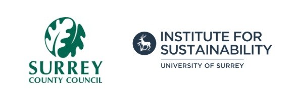 Surrey County Council and the Institute logo