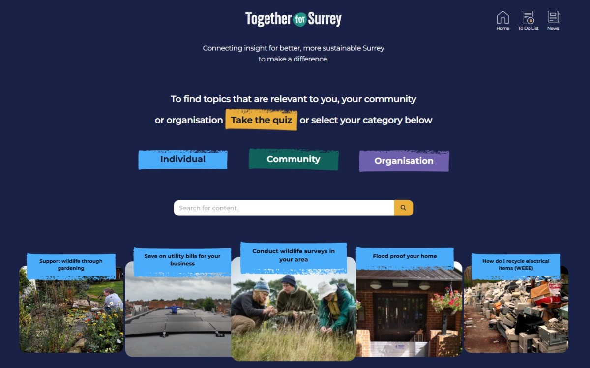 Together for Surrey screenshot