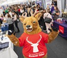 Steve the stag at careers fair