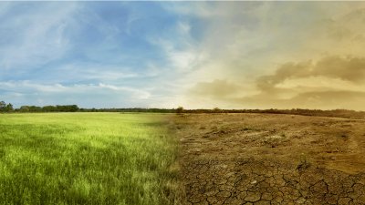 A healthy green field turns into a cracked hot desert in the heat