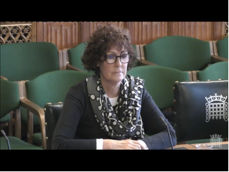 Professor Carol Woodhams giving evidence to the Health and Social Care Select Committee