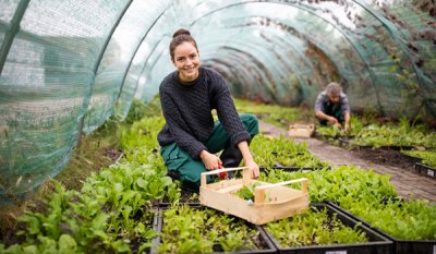 Woman pulling plants out of the ground