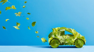 Sustainable green car