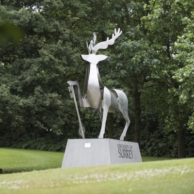 Stag statue on campus