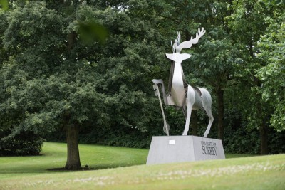 Stag Hill