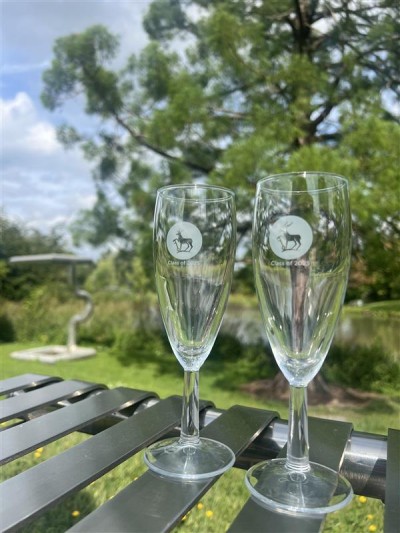 Two Class of 2025 Graduation glasses