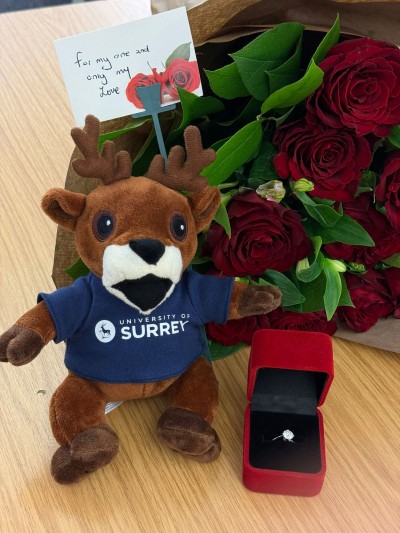 A close up image of the ring.