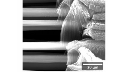 'Forest’ of vertically grown CNTs on horizontal carbon fibres