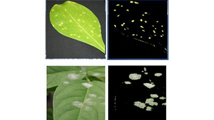 Agriculture applications image