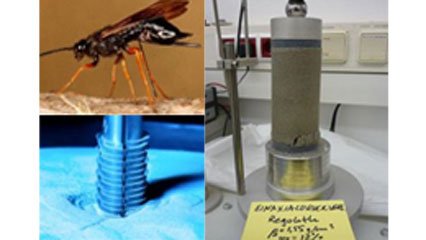 Biomimetic mechanism and robot soil interaction