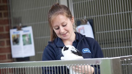 Woman holding a black and white rabbit