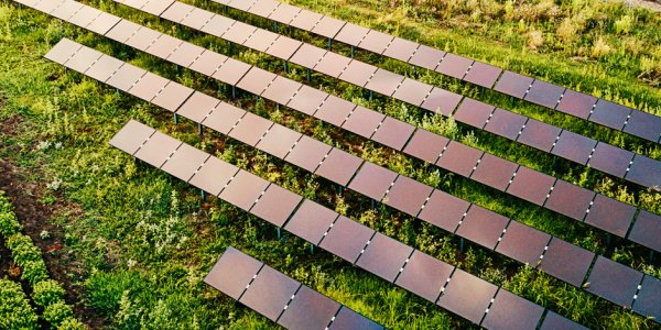 Grass field with solar panels