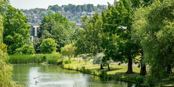 Lake on campus