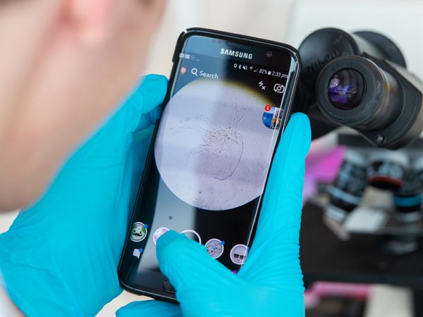 Student taking photo of a microscope on their phone