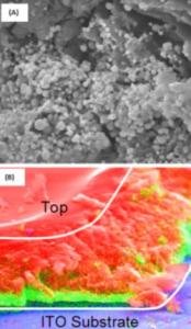 A SEM image