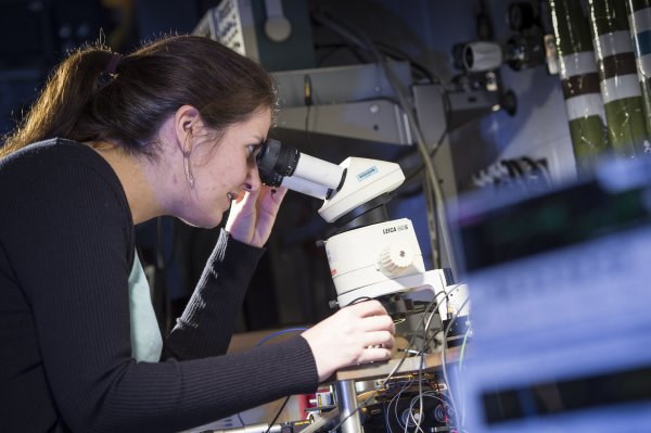 Physicist looking down microscope