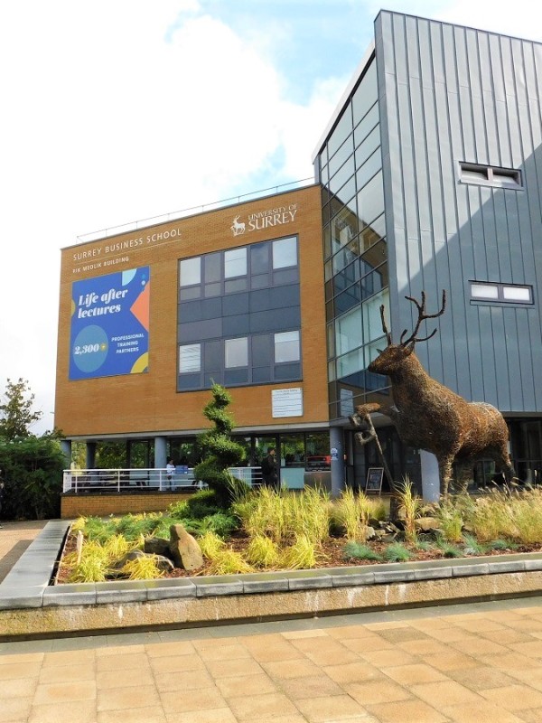 Surrey Business School