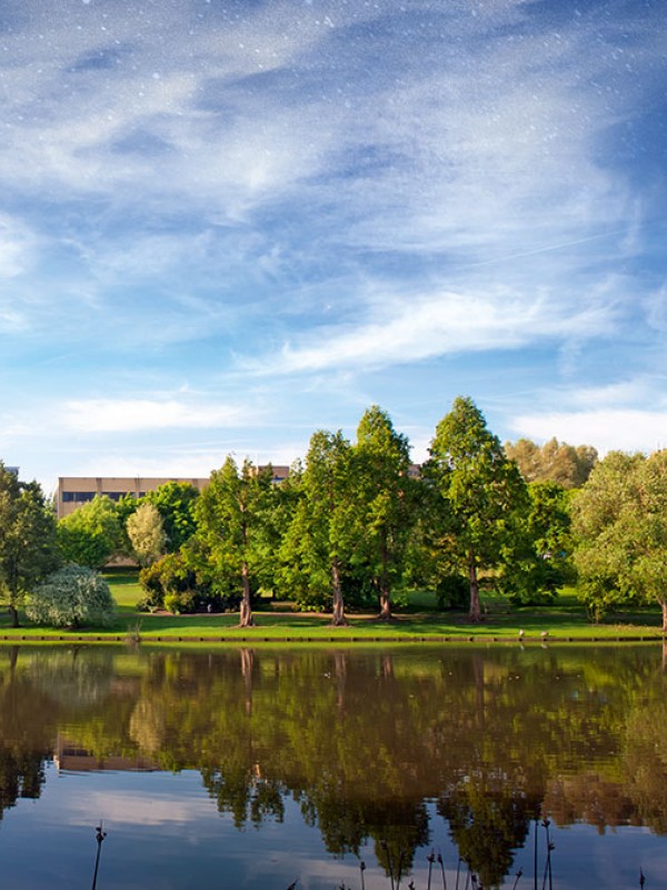 Stag Hill lake