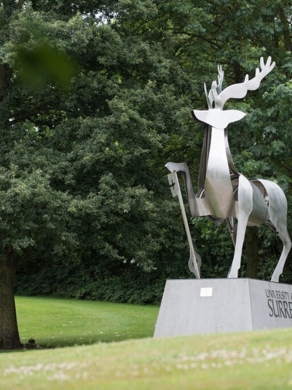 Stag Hill
