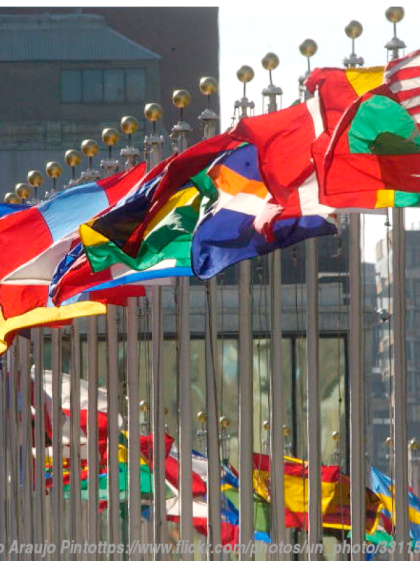UN flags billowing in a dramatic fashion