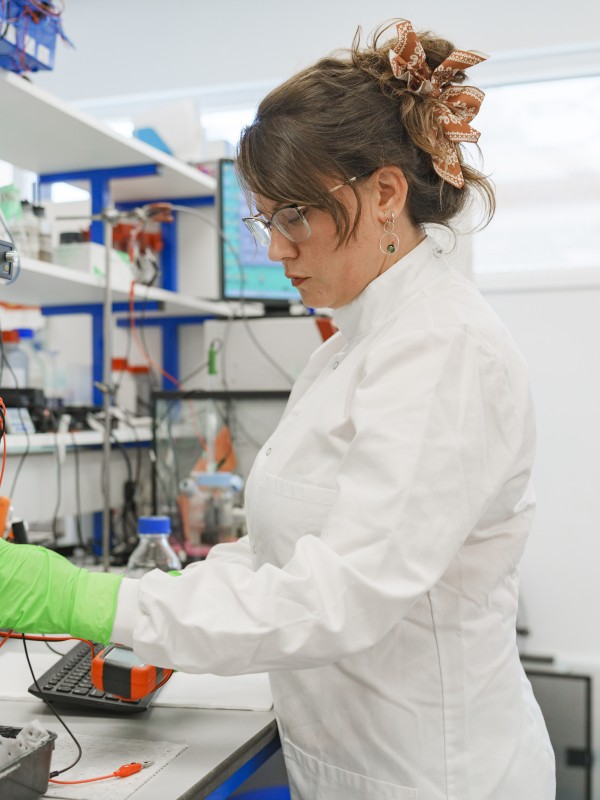 A student in PPE checks on an experiment in the Systems Biology lab at Surrey.