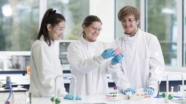 Three students doing microbiology research in a laboratory