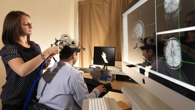 Two people conducting brain research